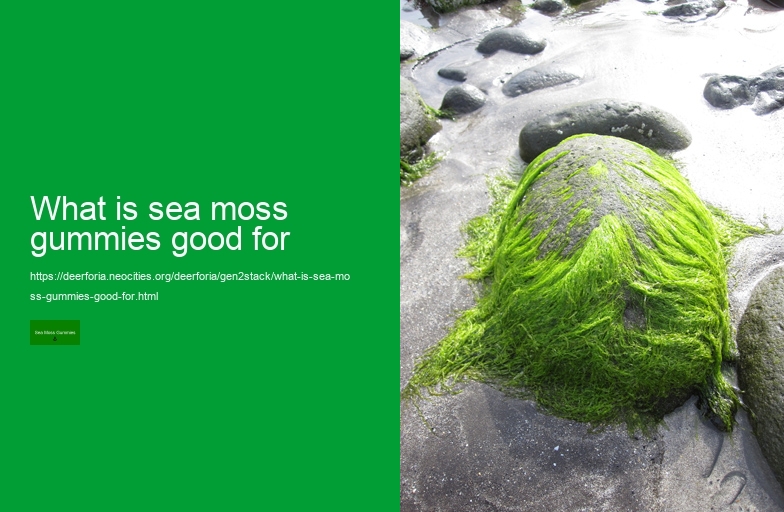 what are sea moss gummies good for